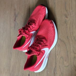 Nike Zoom Pegasus 35
